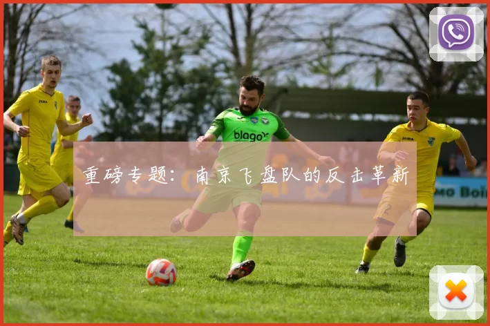 重磅专题：南京飞盘队的反击革新