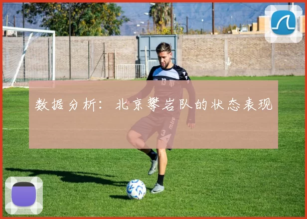 数据分析：北京攀岩队的状态表现
