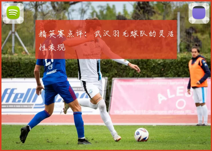 精英赛点评：武汉羽毛球队的灵活性表现