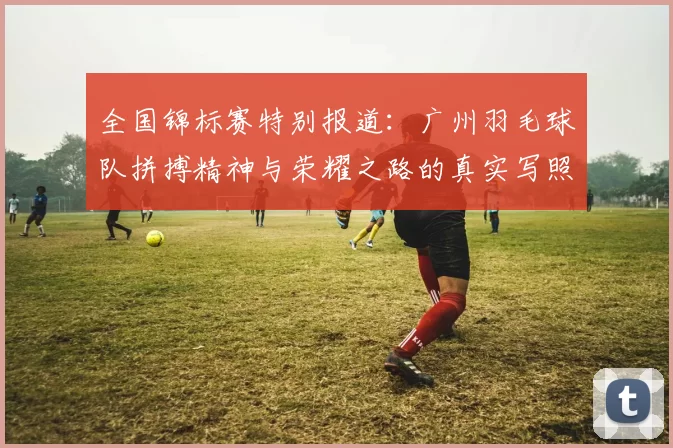 全国锦标赛特别报道：广州羽毛球队拼搏精神与荣耀之路的真实写照