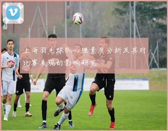 上海羽毛球队心理素质分析及其对比赛表现的影响研究