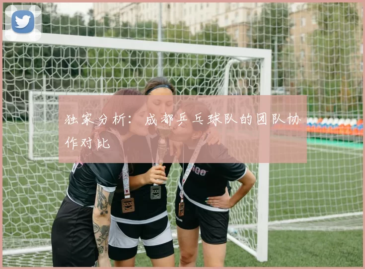 独家分析：成都乒乓球队的团队协作对比