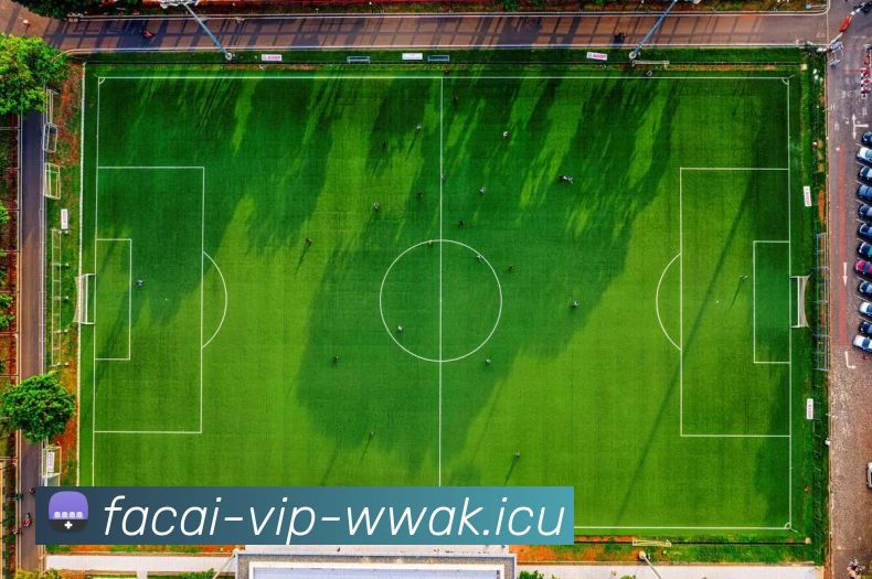 九游体育APP 封面图